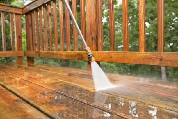 Best House Exterior Washing  in Cayuga Heights, NY